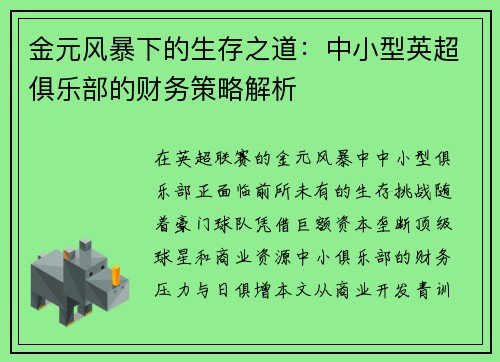 金元风暴下的生存之道：中小型英超俱乐部的财务策略解析