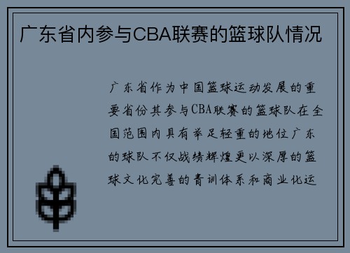 广东省内参与CBA联赛的篮球队情况